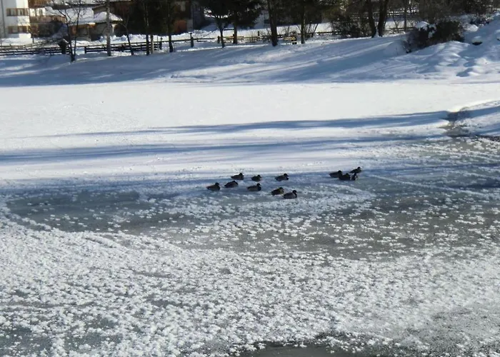 Neustift Near Stubai Glacier Skiing Lägenhet *