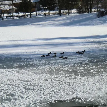 Neustift Near Stubai Glacier Skiing Διαμέρισμα *